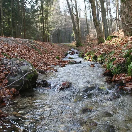 Em Livigno Apartmán Sienna (Klodzko)