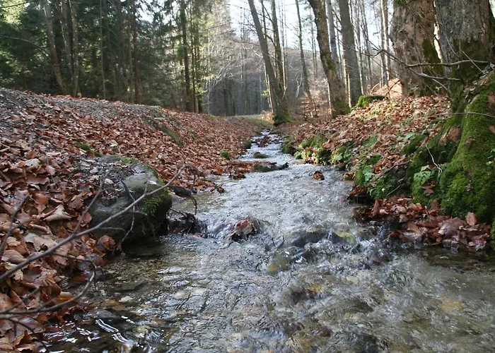 Em Livigno Apartamento Sienna (Klodzko)